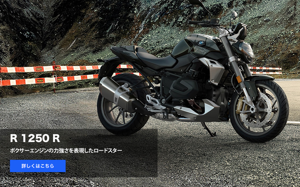 R 1250 R