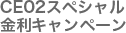 CE 02
               0.2%スペシャル金利キャンペーン